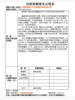 岑巩税务服务